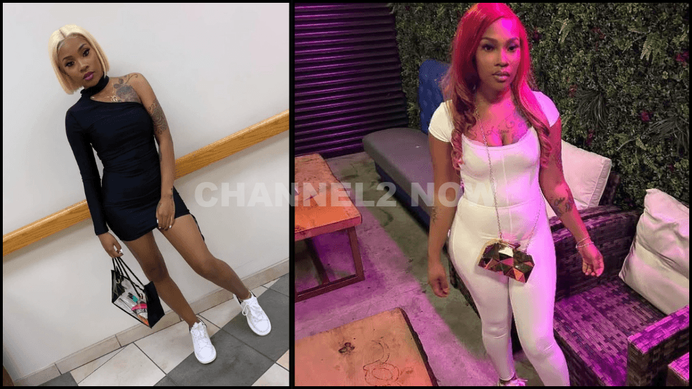 29-Year-Old Pregnant Mother Andriuna Guffie Killed in I-290 Hit-and-Run While Rendering Aid; Family Outraged as Driver Quintin King is Released to Home Confinement After Admitting He “Struck Something”